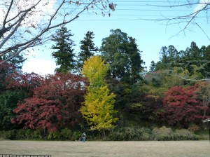 わずかに残っちた紅葉