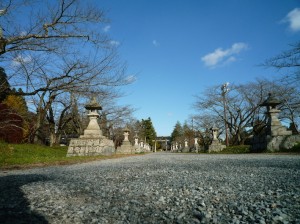 葉が１枚も残っていない桜並木