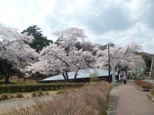 丸森・不動尊１